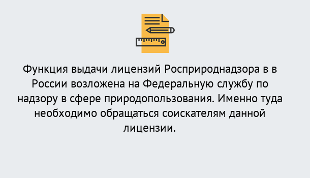 Почему нужно обратиться к нам? Свободный Лицензия Росприроднадзора. Под ключ! в Свободный