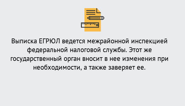 Почему нужно обратиться к нам? Свободный Выписка ЕГРЮЛ в Свободный ?