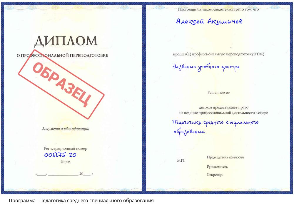 Педагогика среднего специального образования Свободный