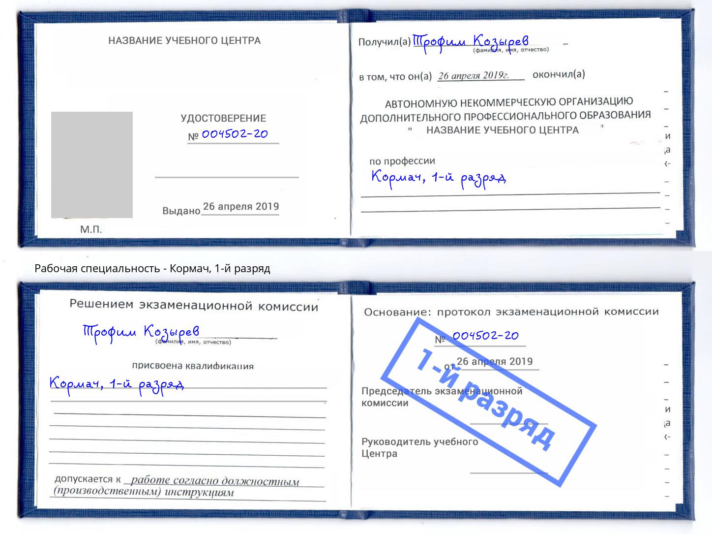 корочка 1-й разряд Кормач Свободный