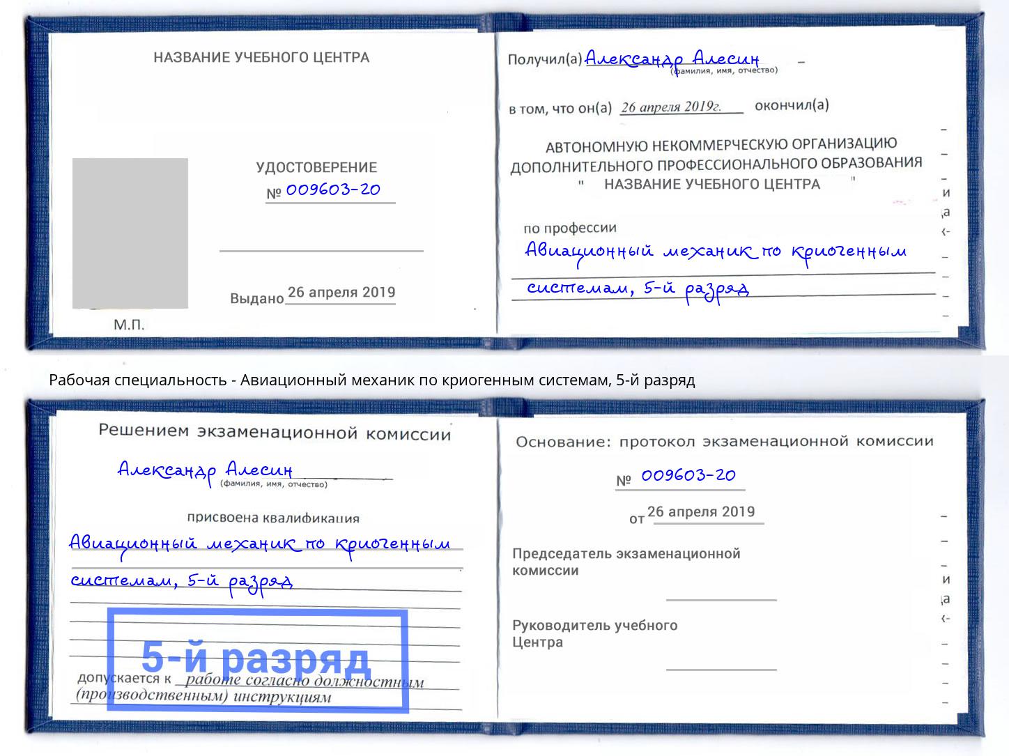 корочка 5-й разряд Авиационный механик по криогенным системам Свободный